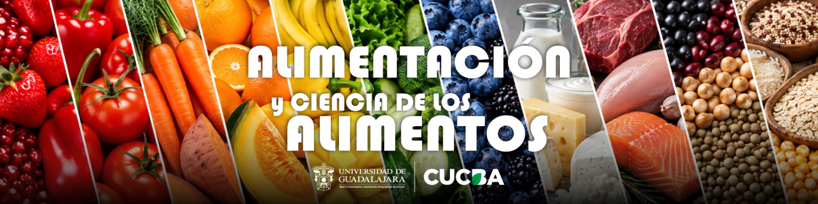 Logotipo de la Revista Alimentación y Ciencia de los Alimentos
